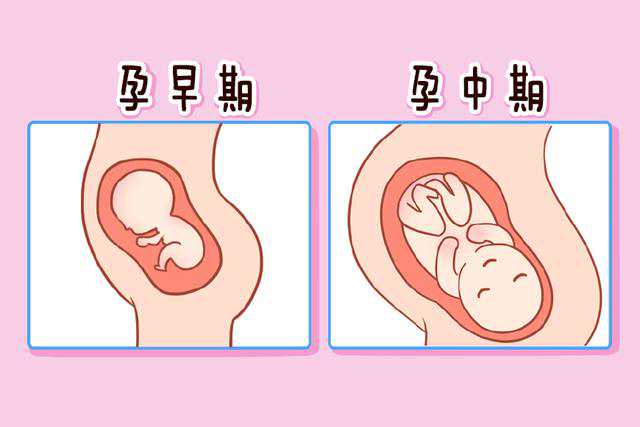 杭州可不可以助孕，杭州哪家整形医院好