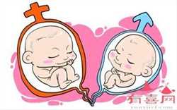 杭州代生机构谁做过，【卵巢早衰想做供卵】今天11+6，听别的孕妈说12周产检要