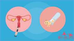 杭州供卵要什么手续，IVF攻略：可以做3代试管婴儿的医院大盘点（国内）|二胎