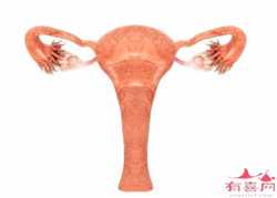 杭州卵巢早衰供卵成功率高吗，这种致死率高、复发率高的癌症是女性健康第一