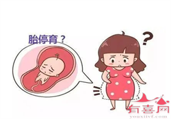杭州供卵多少钱，老司机告诉你，试管婴儿流程具体有哪些，祝你心中有数好孕
