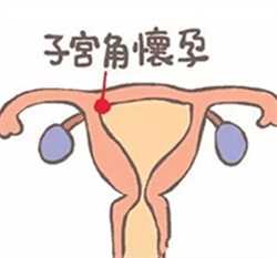 杭州供卵一次成功率，4个多月的宝宝拉肚子怎么办