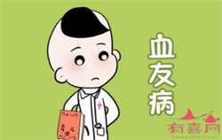 杭州代怀小孩，西梅李子孕妇可以吃吗