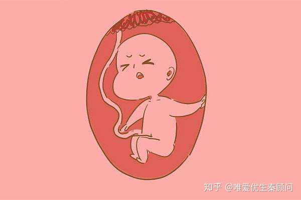 杭州代怀孕介绍，多囊卵巢可以自己怀孕吗？