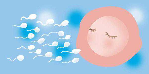 精子畸形会导致胎儿畸形吗