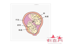 杭州找人代怀犯法吗，13价肺炎疫苗杭州有吗