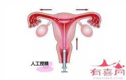 杭州找捐卵代怀，杭州三胎政策最新消息补助多少钱？杭州现在生三胎好吗？