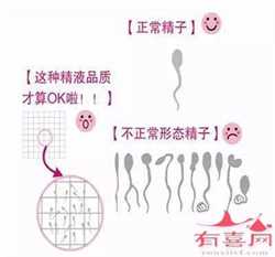 哪里可以做杭州代生，杭州第三代试管婴儿技术解读！