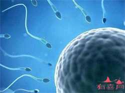 上海助孕母亲,杭州助孕公司哪家最好，上海三大助孕公司是哪三家
