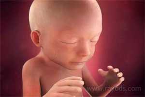 杭州湘雅医院代孕,供卵试管婴儿合法吗，马斯克代孕女儿曝光