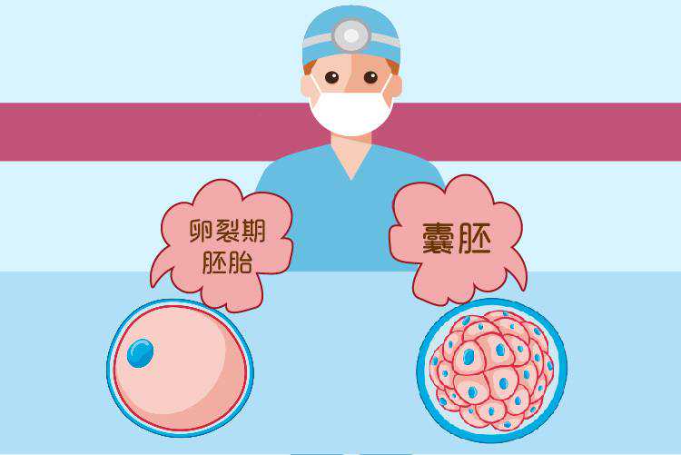 哪个医院,2023在杭州做三代供卵试管婴儿选择哪个医院比较好？