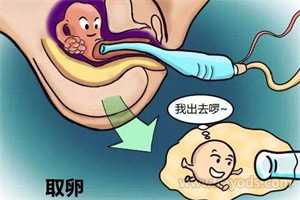 杭州代孕有哪中方式,同性恋人做美国代孕需要多少钱