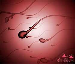 杭州代孕妇公司,2023合法代孕国家排名？附详细介绍？