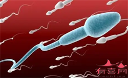 杭州洗精代孕费用,第三代试管可以找人做试管婴儿吗？在中国找代孕妈妈违法