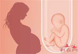 杭州正规代孕价格表,国内可以找人代孕三代试管婴儿吗？