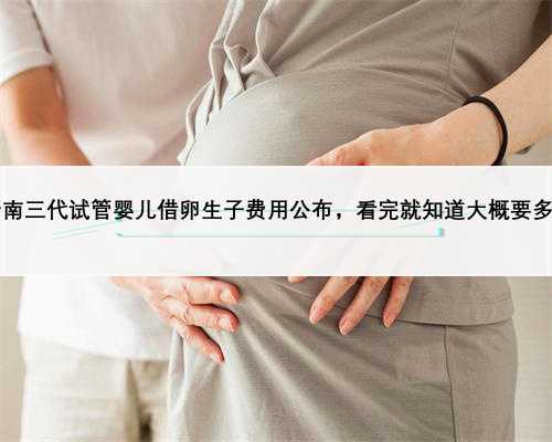 2023云南三代试管婴儿借卵生子费用公布，看完就知道大概要多少钱了