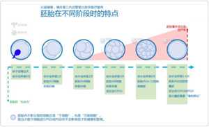 杭州借卵试管流程,2022年杭州做试管婴儿要多少钱？攻略来啦