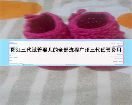 阳江三代试管婴儿的全部流程广州三代试管费用